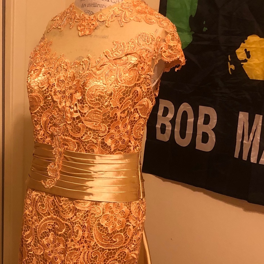 Elegant Evening Gown Laced Embroidered